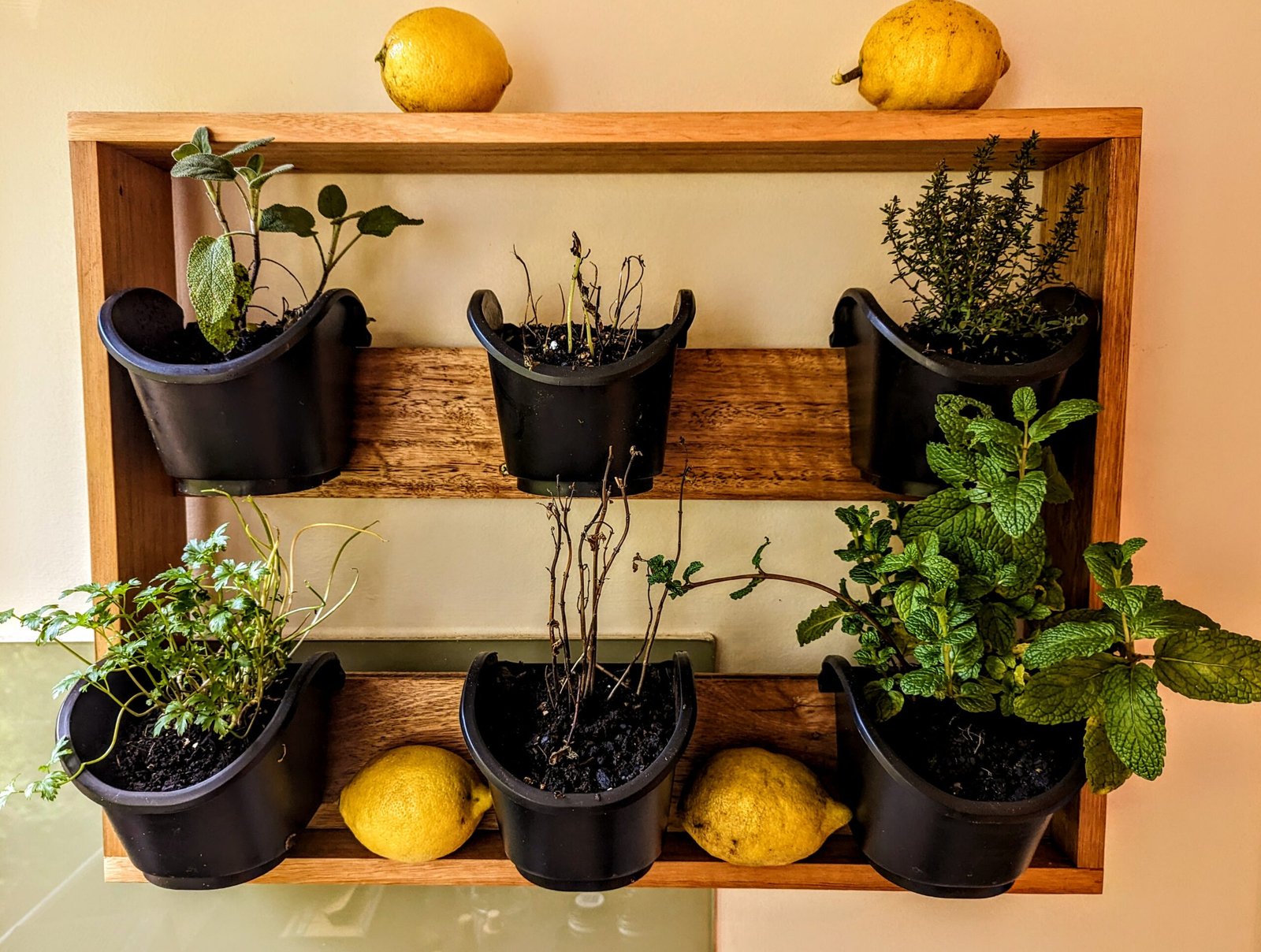Herbolario wall-mounted herb rack in solid timber